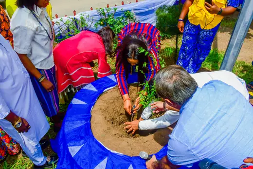 Members bent over the soil mound, firming earth around a newly set sapling.