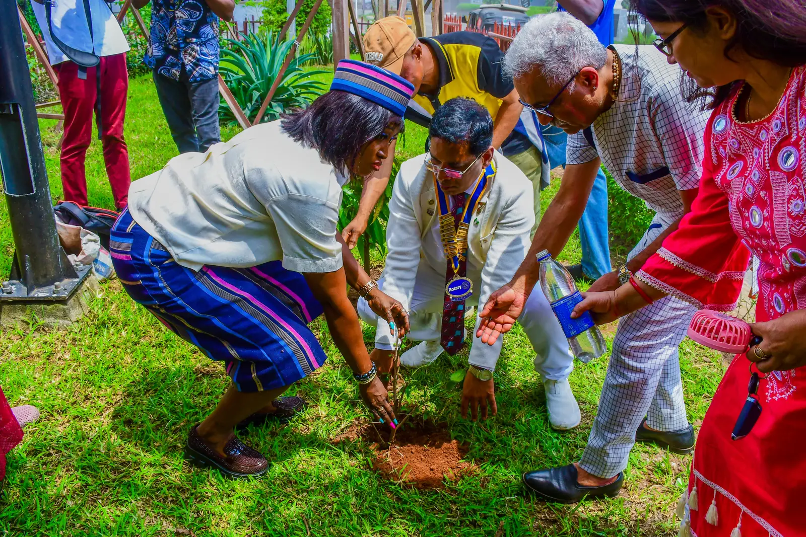Members of the club crouched together on the grass, planting saplings side by side at Patel Park.
