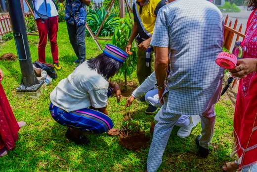 A member kneeling on the grass to plant a sapling beside the park railings.