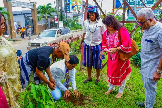 Planting at the edge of the park with the Ilupeju street traffic passing behind.